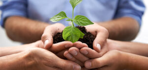 Community Development Training Program