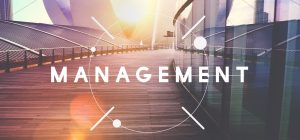 Management Skills Development Training