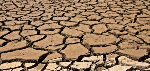 Hostile Environment Awareness Training Kenya