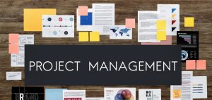 Operational Project Management Training Program