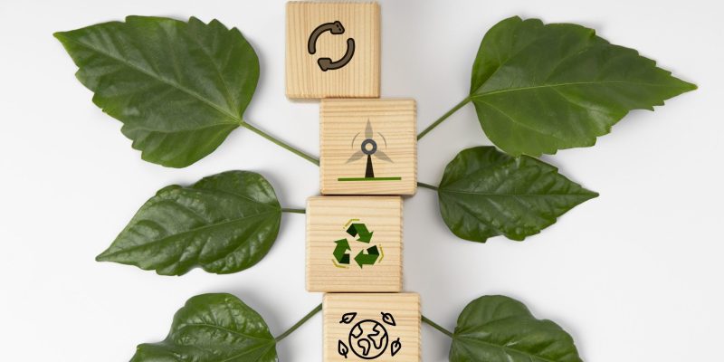 Environmental Management Systems(EMS) Training