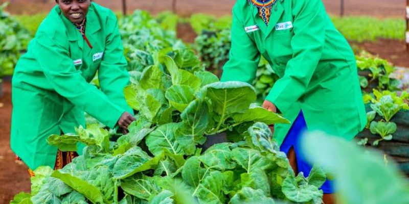 Climate smart Agriculture Training
