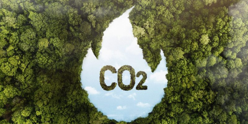 Training on Carbon Taxation for Policy Makers